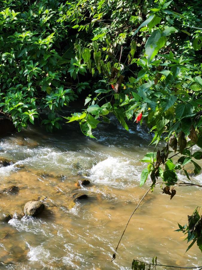 Hospedaria E Camping Quintal Do Mundo Lumiar Dış mekan fotoğraf